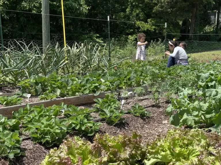 Children Standing Among Spring Vegetable Beds 2023 salud, vida en el campo Beckfords Ministry
