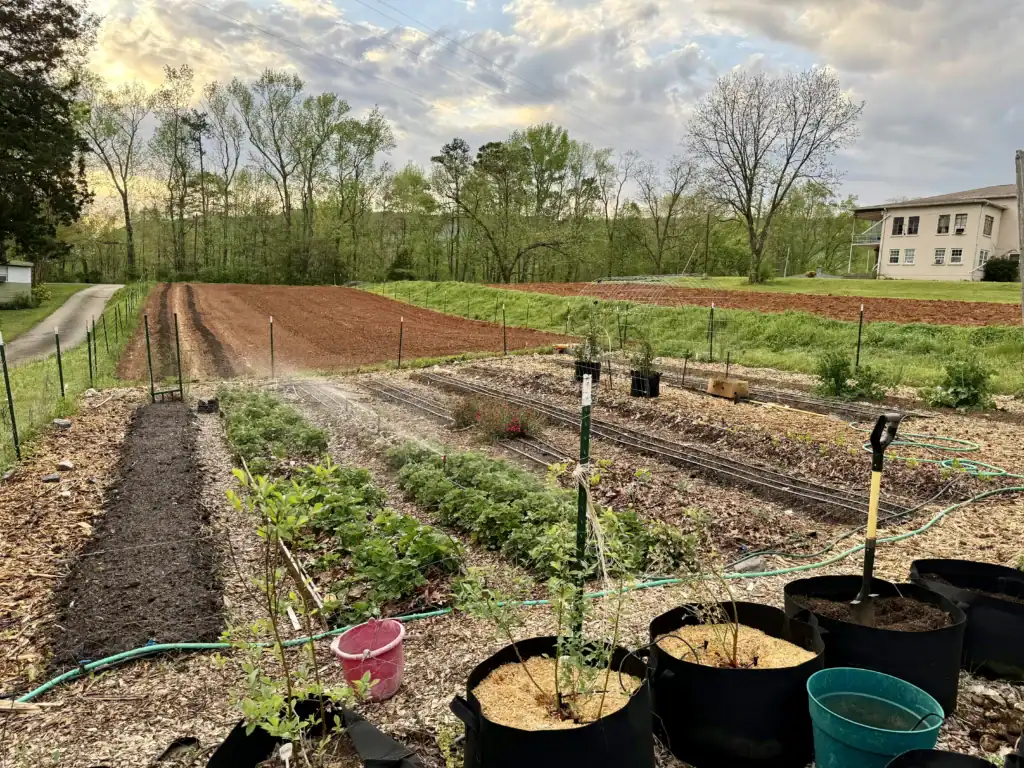 Container Plants Beside Spring Vegetable Beds 2024 salud, vida en el campo Beckfords Ministry